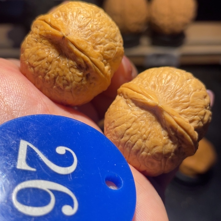 鸽子蛋核桃尺寸31