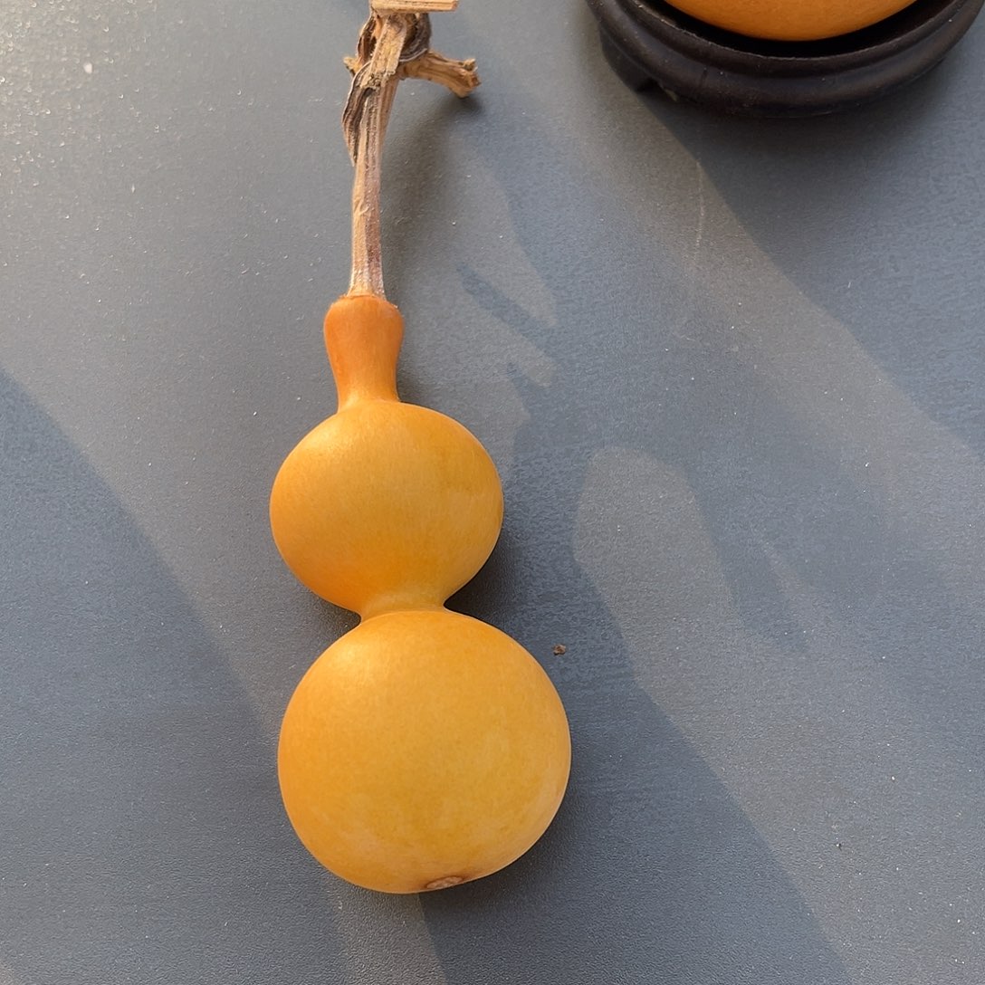 68葫芦888888888888