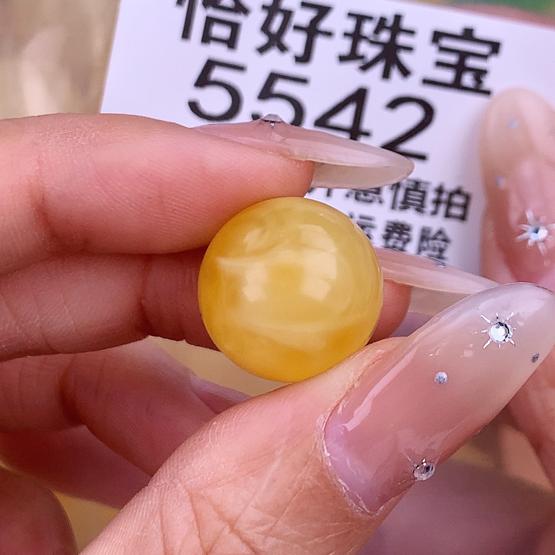 琥珀未镶嵌珠宝奇石15.9 植物