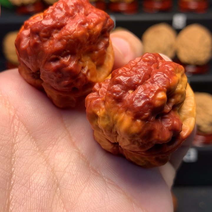 文玩核桃把件至尊妖蟾七彩37尺寸