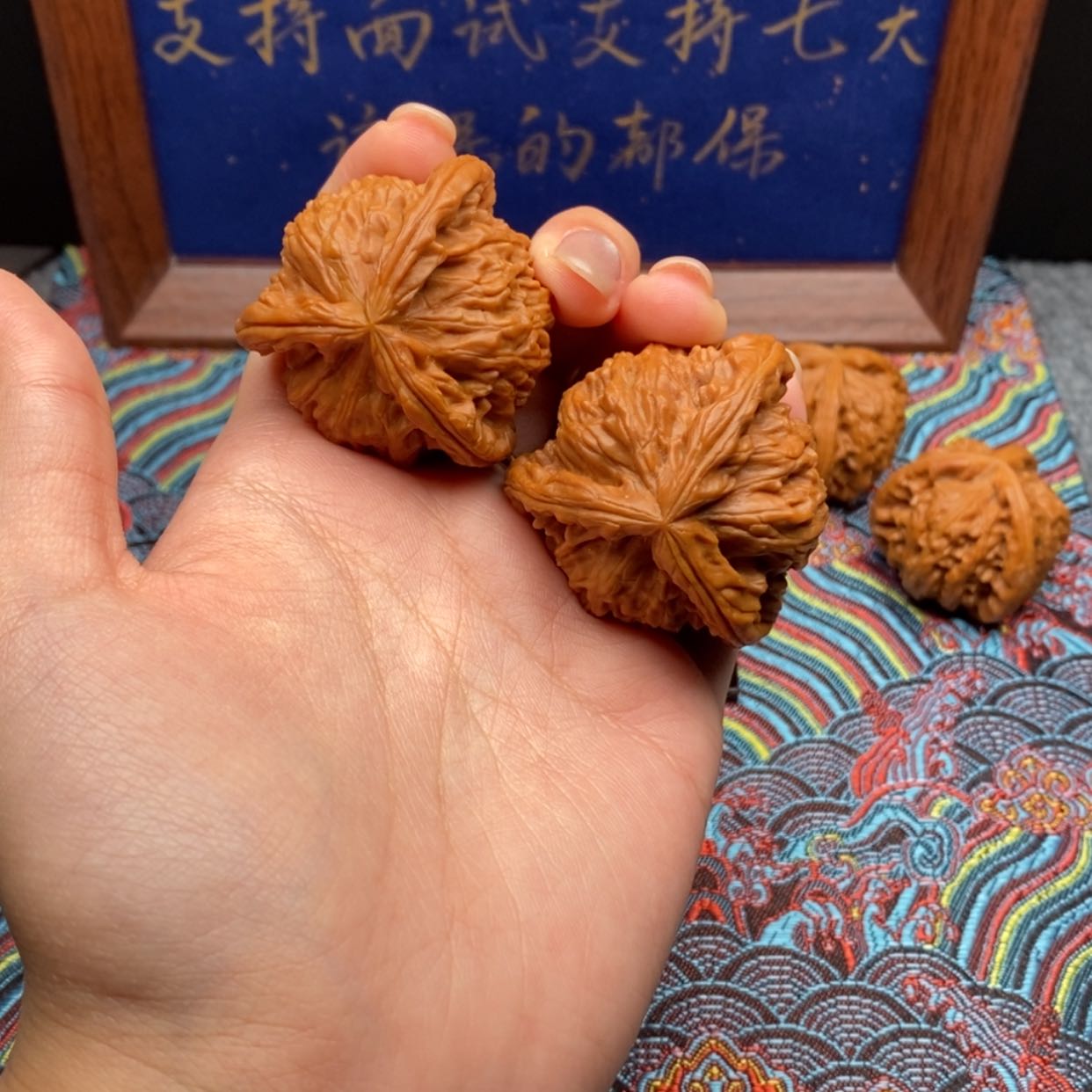 【闪购商品】巴*白狮