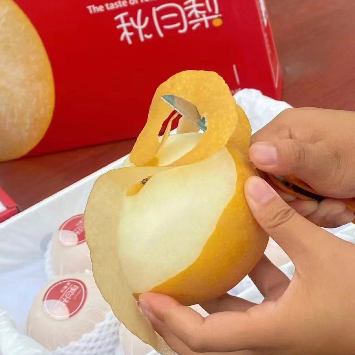 白富美秋月梨 2025 年 第一颗真正的秋月梨
