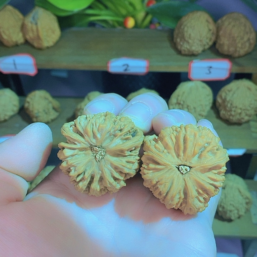 【闪购商品】把件文玩核桃