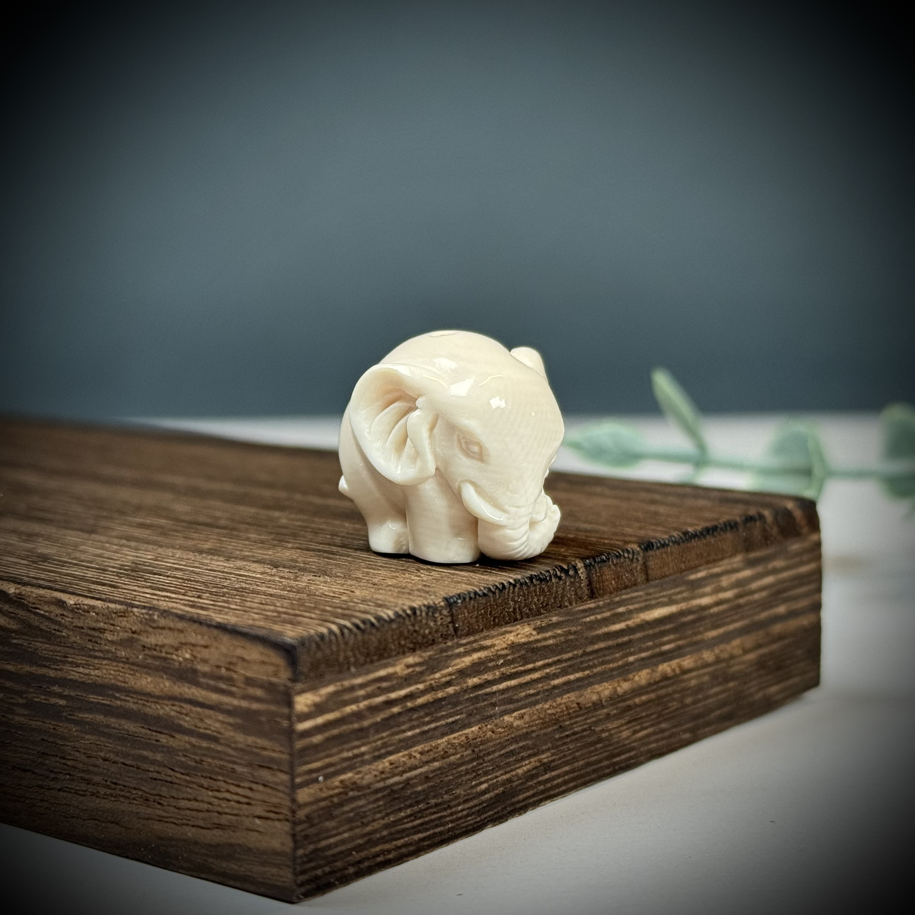 H82-66天然猛犸 雕刻象神约18*19mm支持鉴定假一罚十