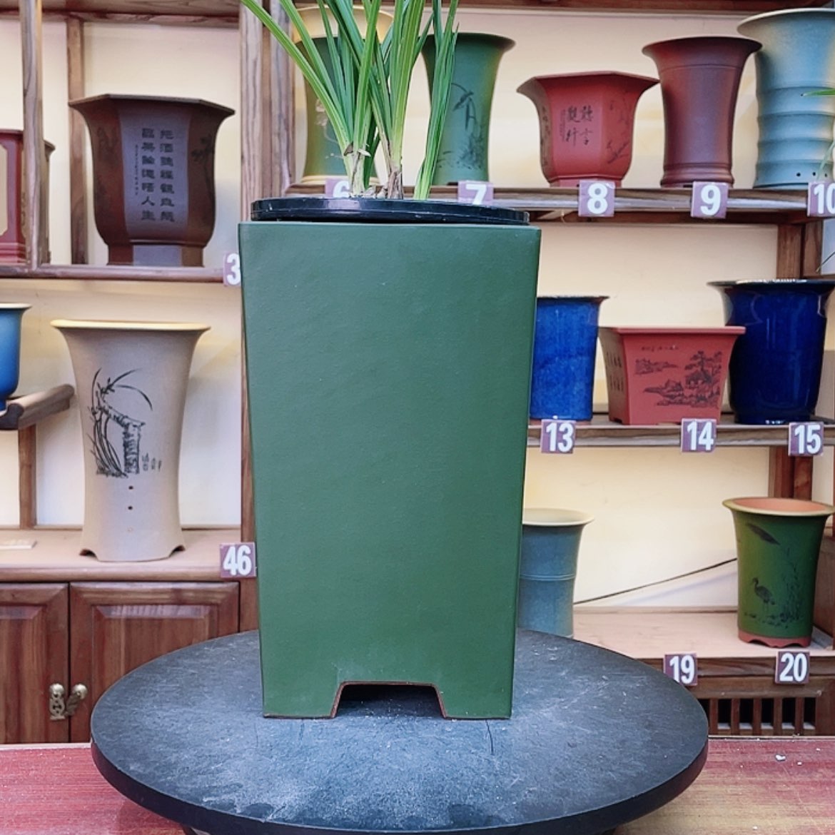 【闪购商品】紫砂花盆兰花55598555668556522