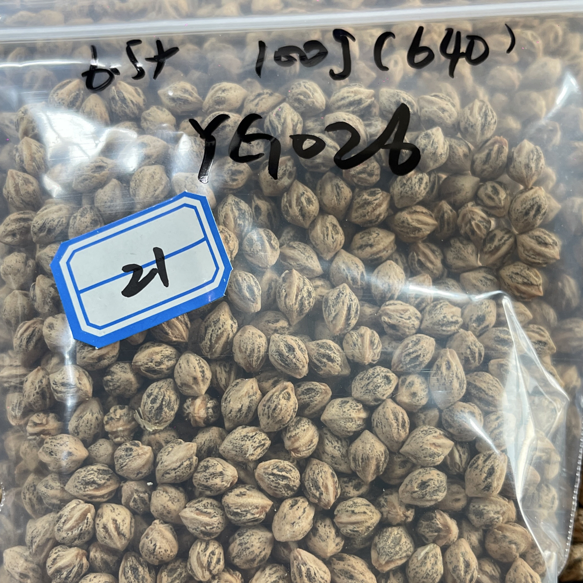 21号6.5+100克YG026热振高货直切料