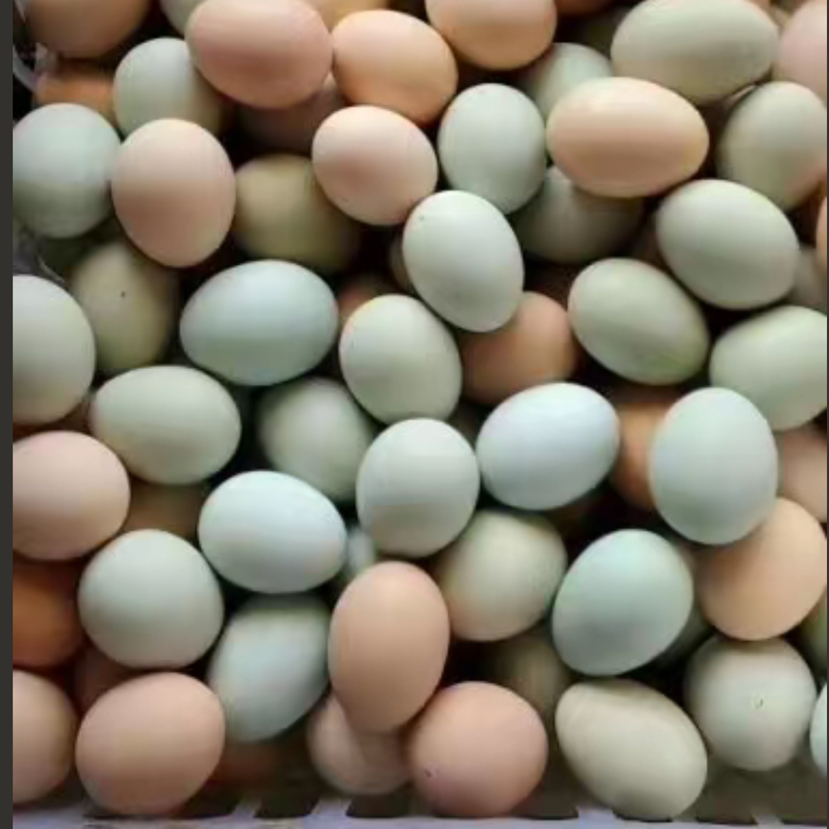 （鸡蛋）农家混合鸡蛋