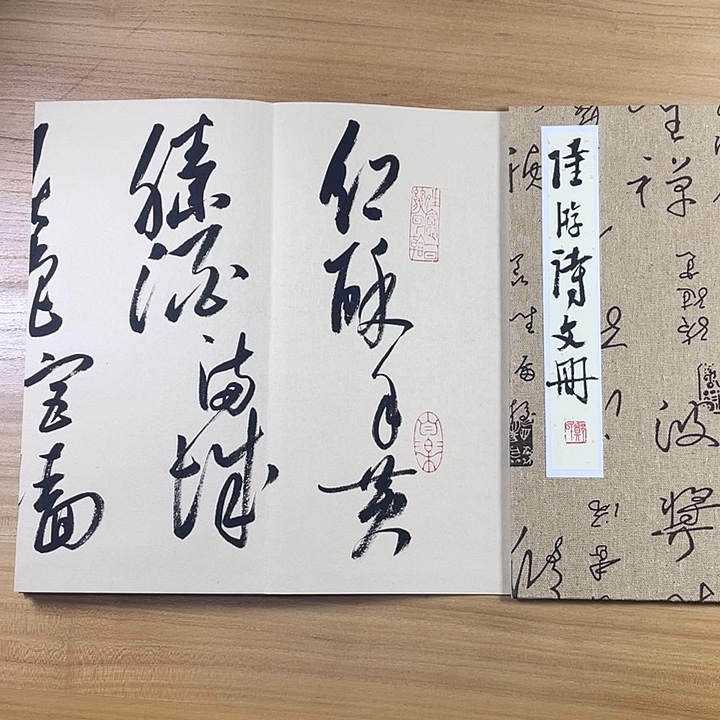 书法中书协会员作品