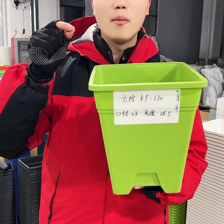 正品方盆口23高26.5果绿色5只无托