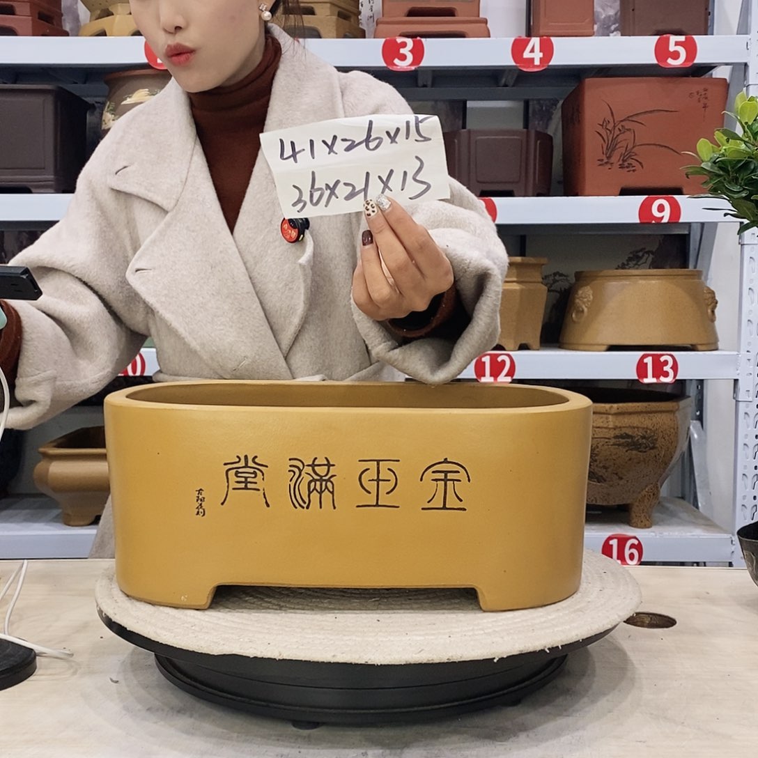 紫砂花盆紫砂花盆