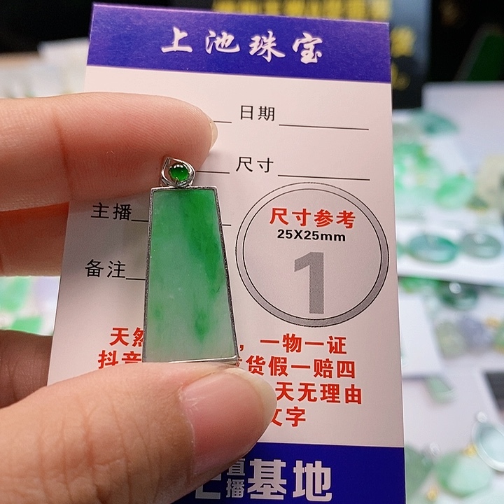 【闪购商品】翡翠颈饰18K金镶嵌错**?翡翠