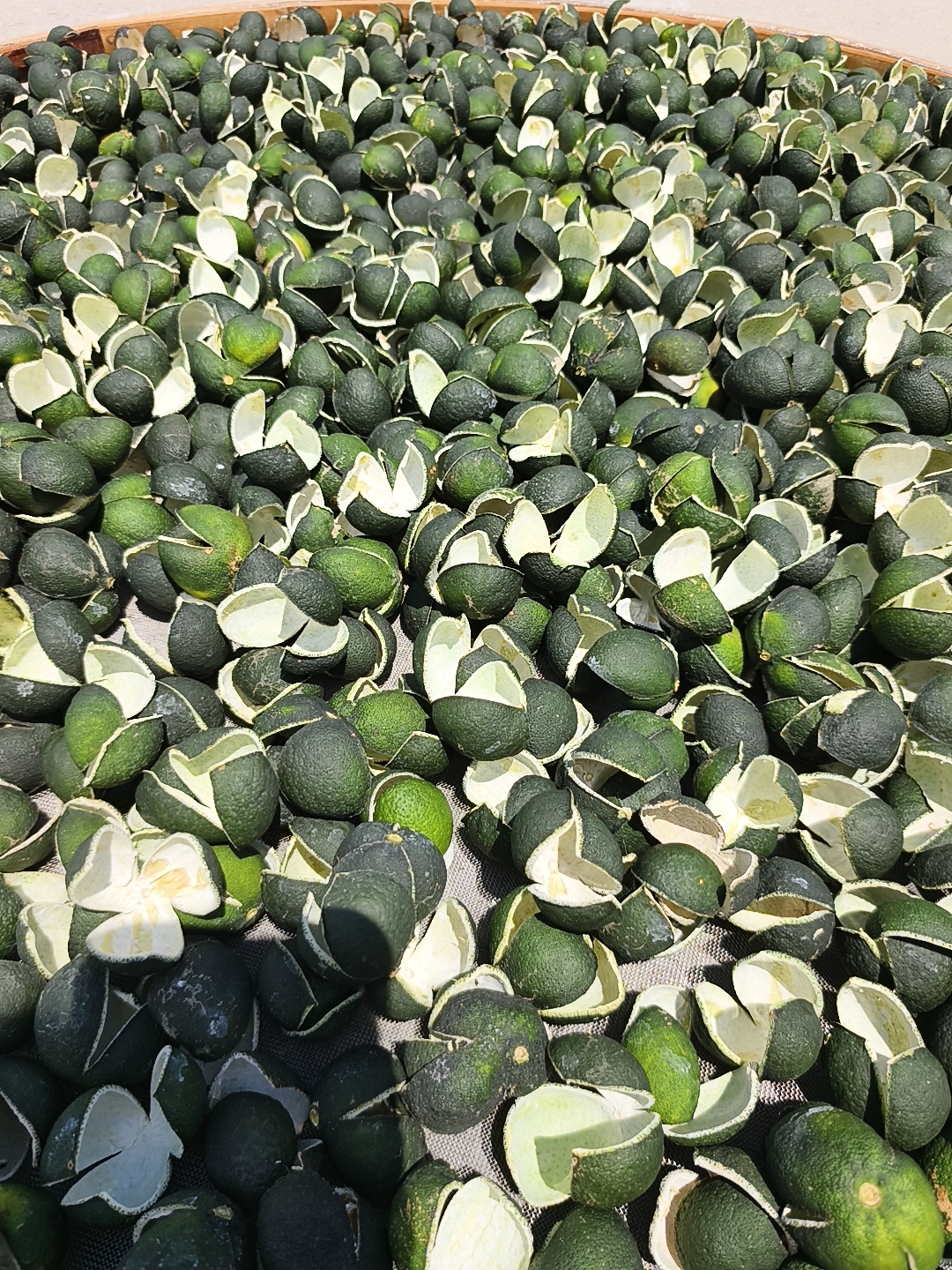 新会（大泽）2025年  三花青皮  圈枝（注：扯果蒂小青皮）