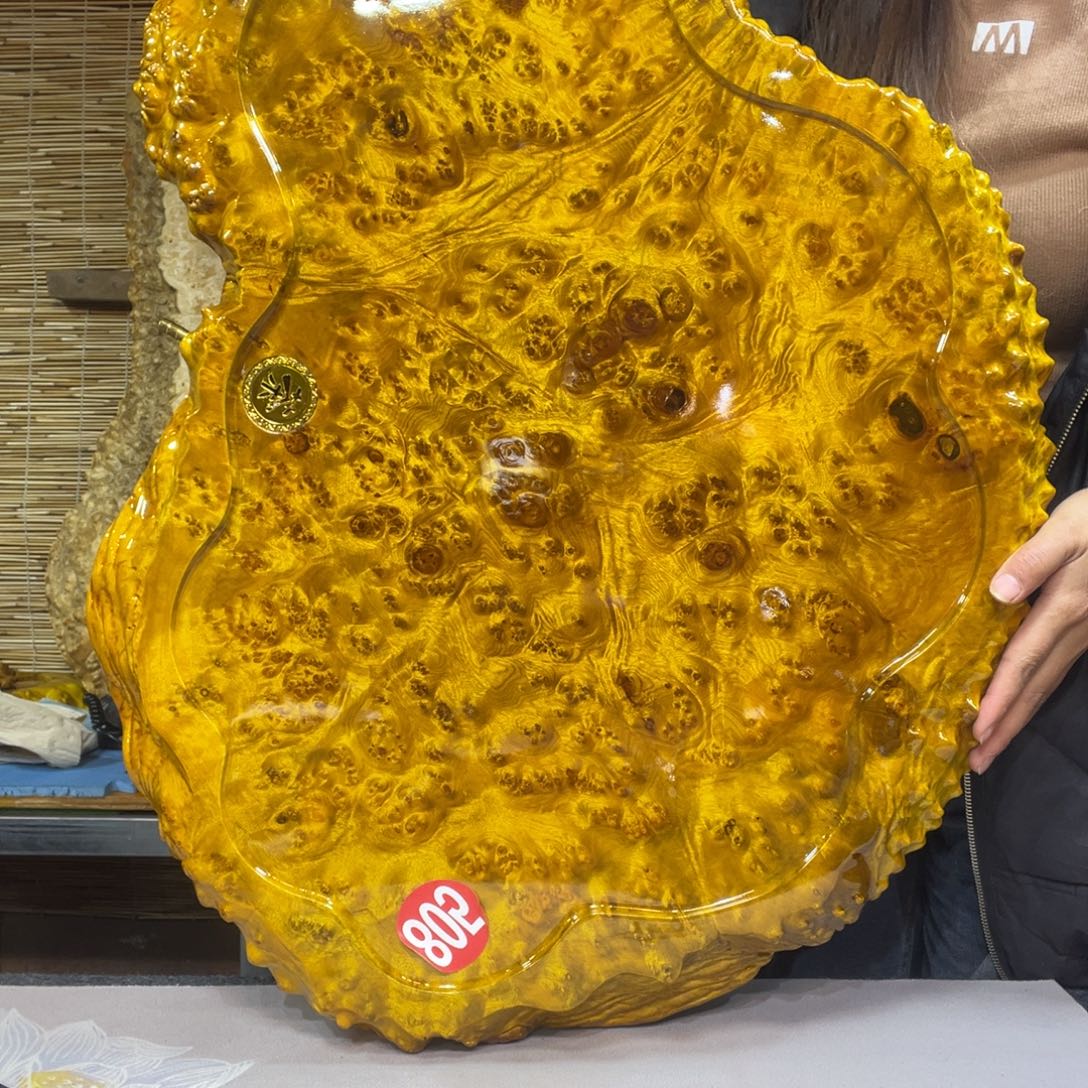 缅甸黄金樟全实木根雕茶盘