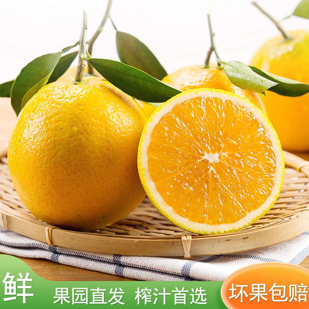 【应季鲜果】正宗湖北秭归伦晚夏橙冰糖橙果冻橙秭归橙子伦晚橙子