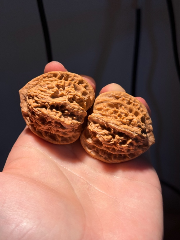 霞云岭虎头蟠龙虎头货头对文玩核桃