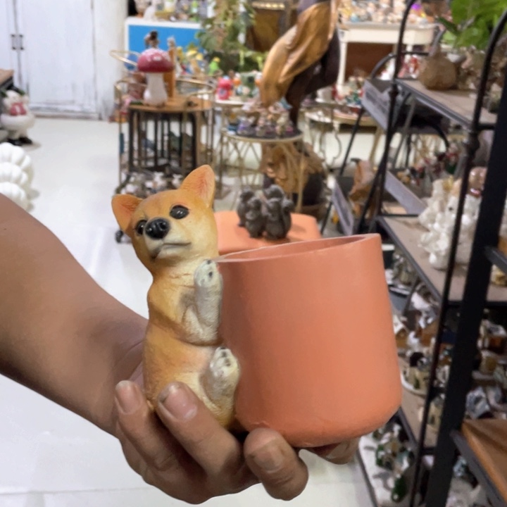 瓷片孤品样品微瑕不退不换