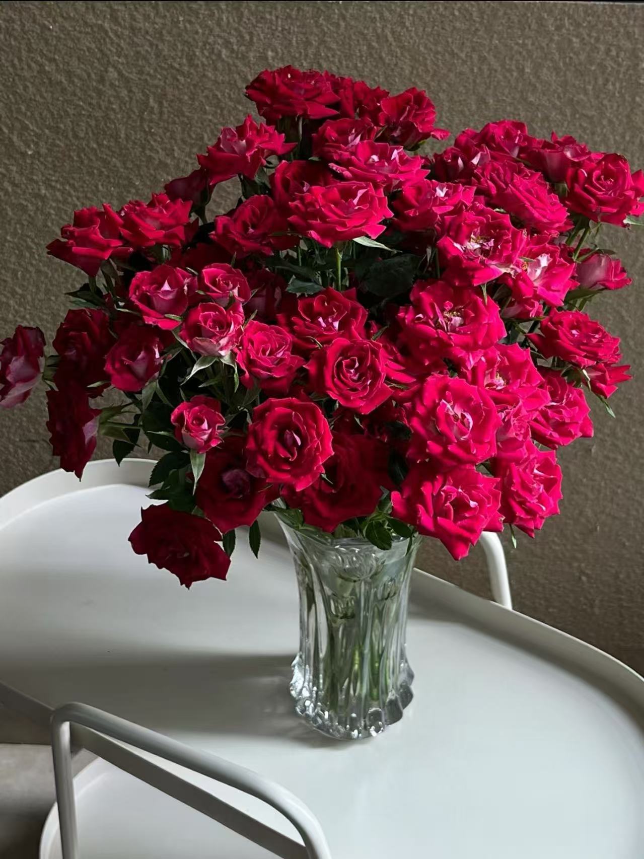 【波塞尼娜多头玫瑰】 全场鲜花任意两单及以上包邮