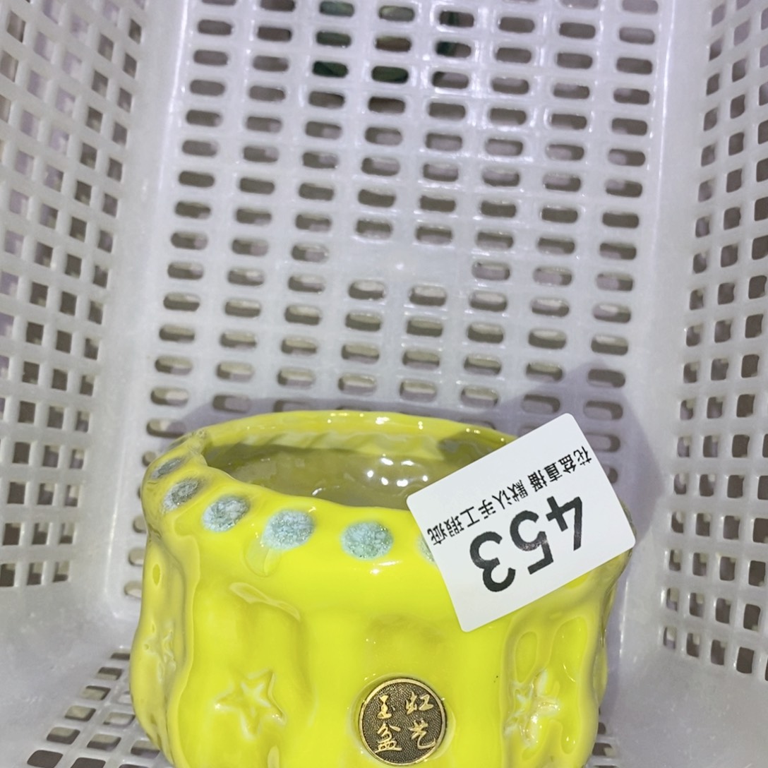 陶瓷花盆花盆花盆福利