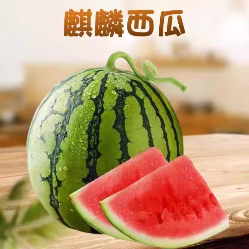 【顺丰次日达】云南冰糖麒麟瓜薄皮多汁云南水果云南水果同城送