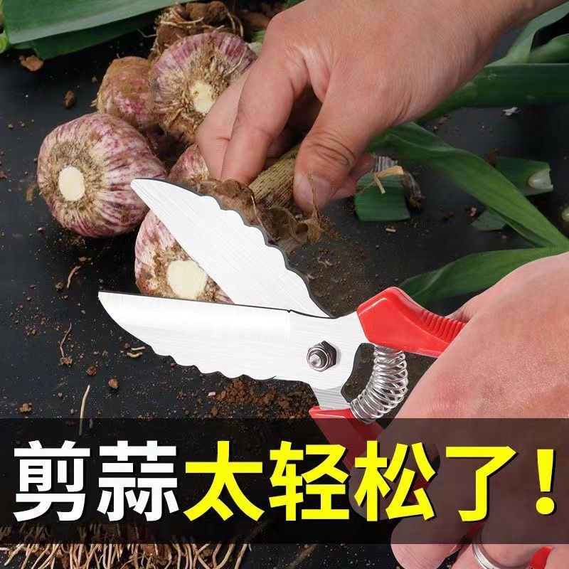 新款大蒜剪刀神器蔬果剪大蒜剪杆剪须专用省劲耐用好钢剪剪药香菇