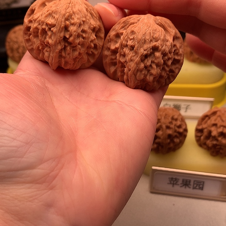 文玩核桃吊坠39.5尺全品磨盘696号