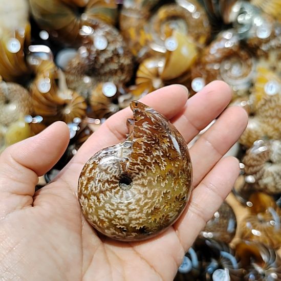 有机玻璃1235888888