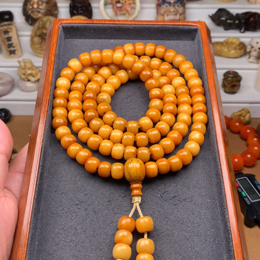 驼骨其他天天都在盘  10