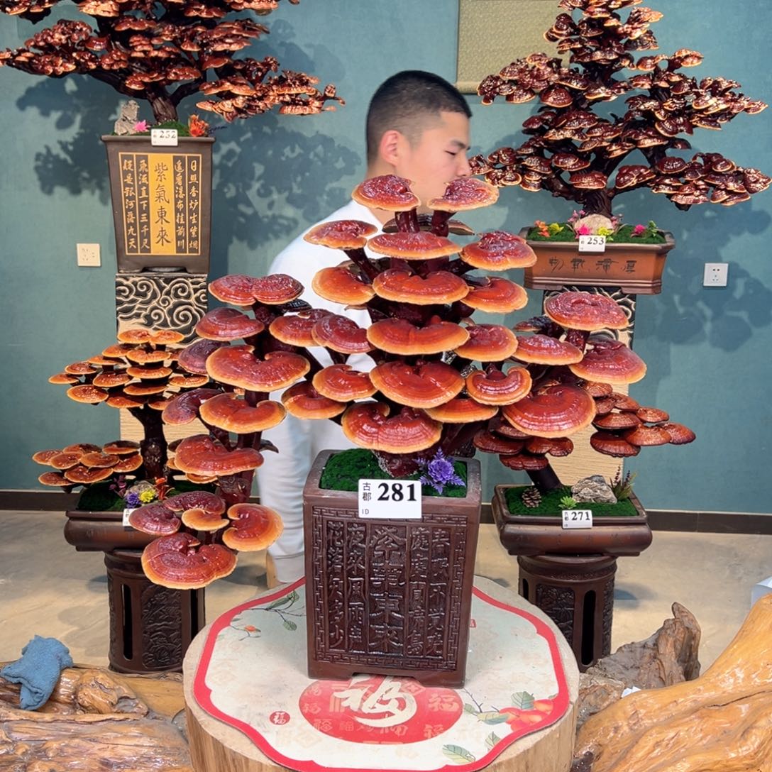 老***贾无花朵88888888888