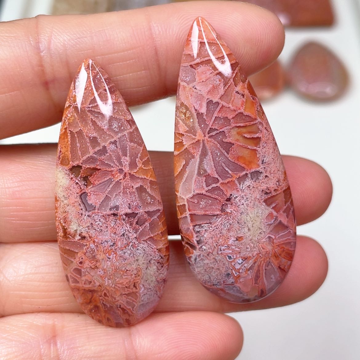 【闪购商品】未镶嵌吊坠(赠链)硅化玉