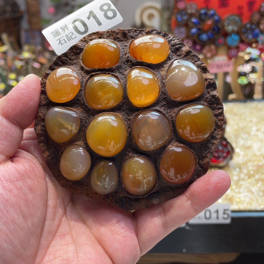 核桃木/黑胡桃（胡桃木）018