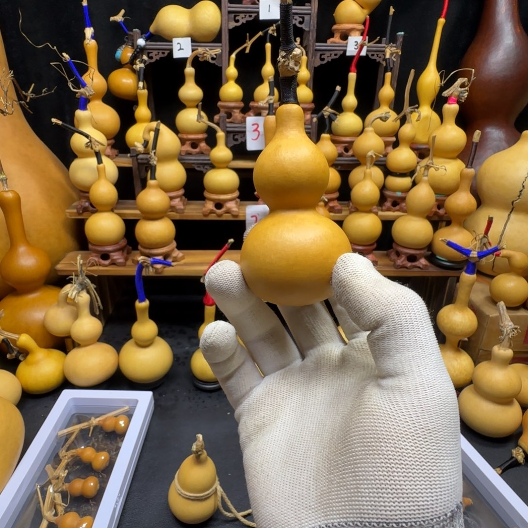 s***哈哈哈哈哈哈哈哈这