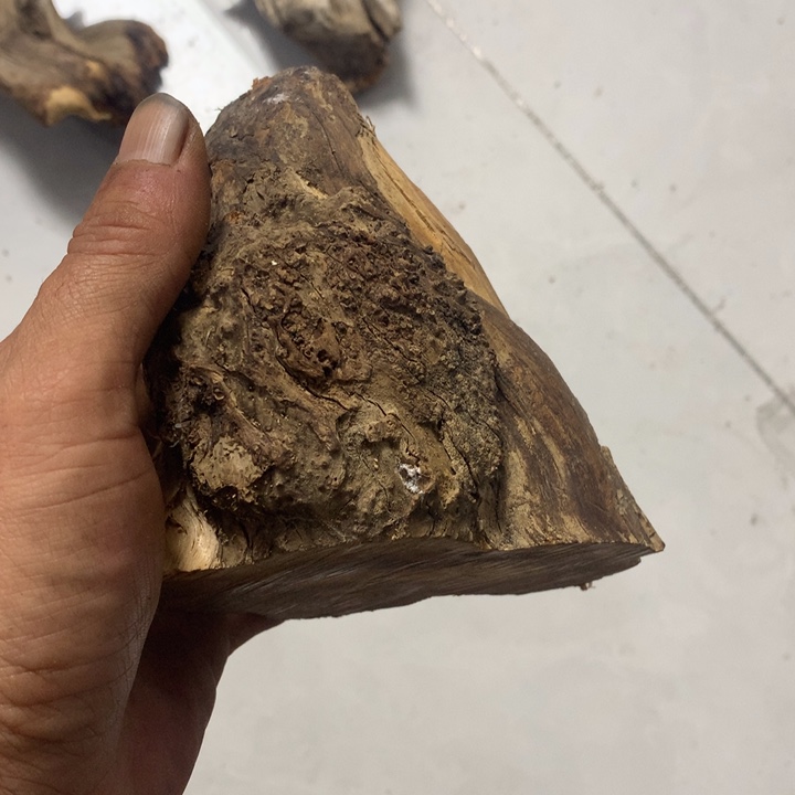 抽***烟无花朵今天晚上在学校吃饭