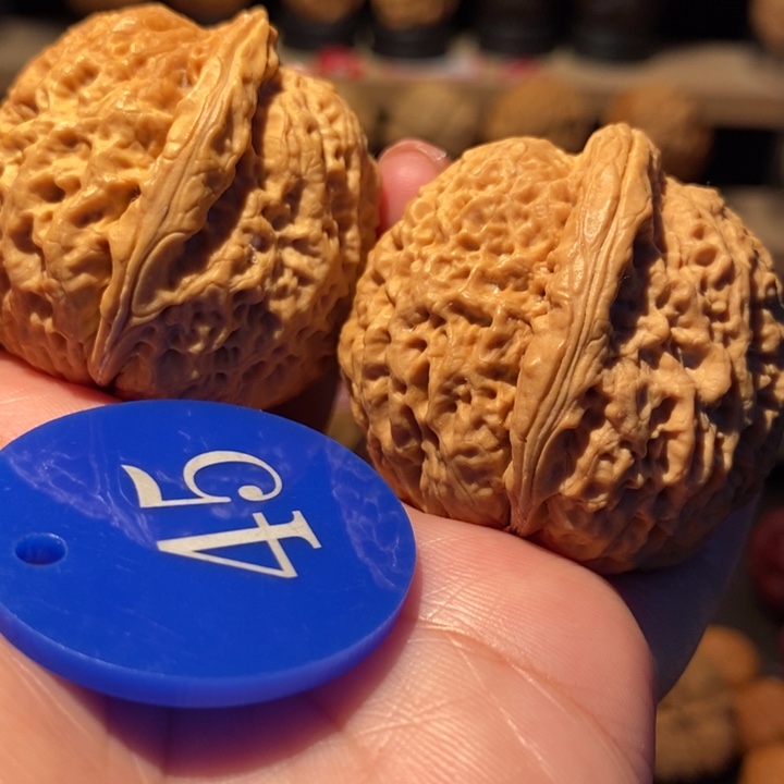 男***哥木质类龙鳞铁狮子42尺寸