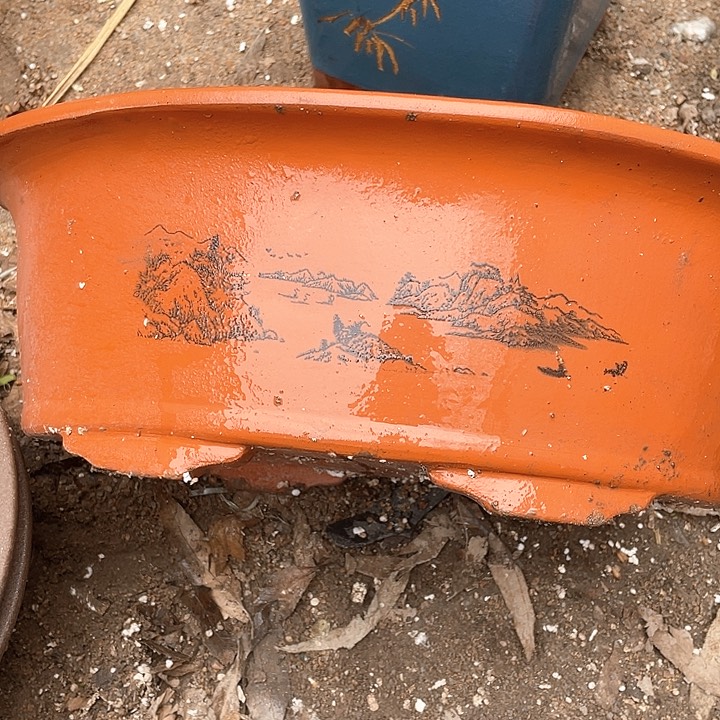 紫砂38红椭圆花盆花盆