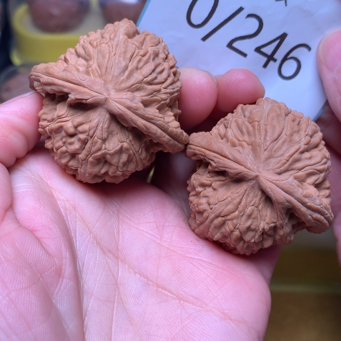 文玩核桃把件红皮球白42