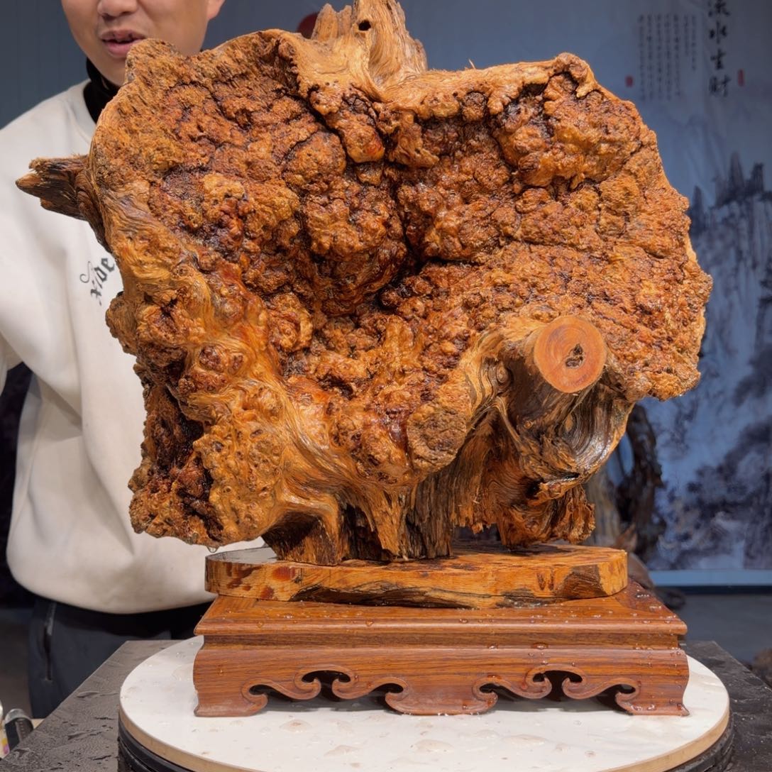 延***生木三丰琥珀木 天然摆件35