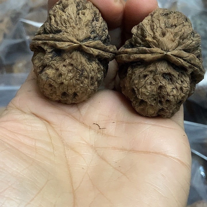 把件文玩核桃云南铁核桃基地30