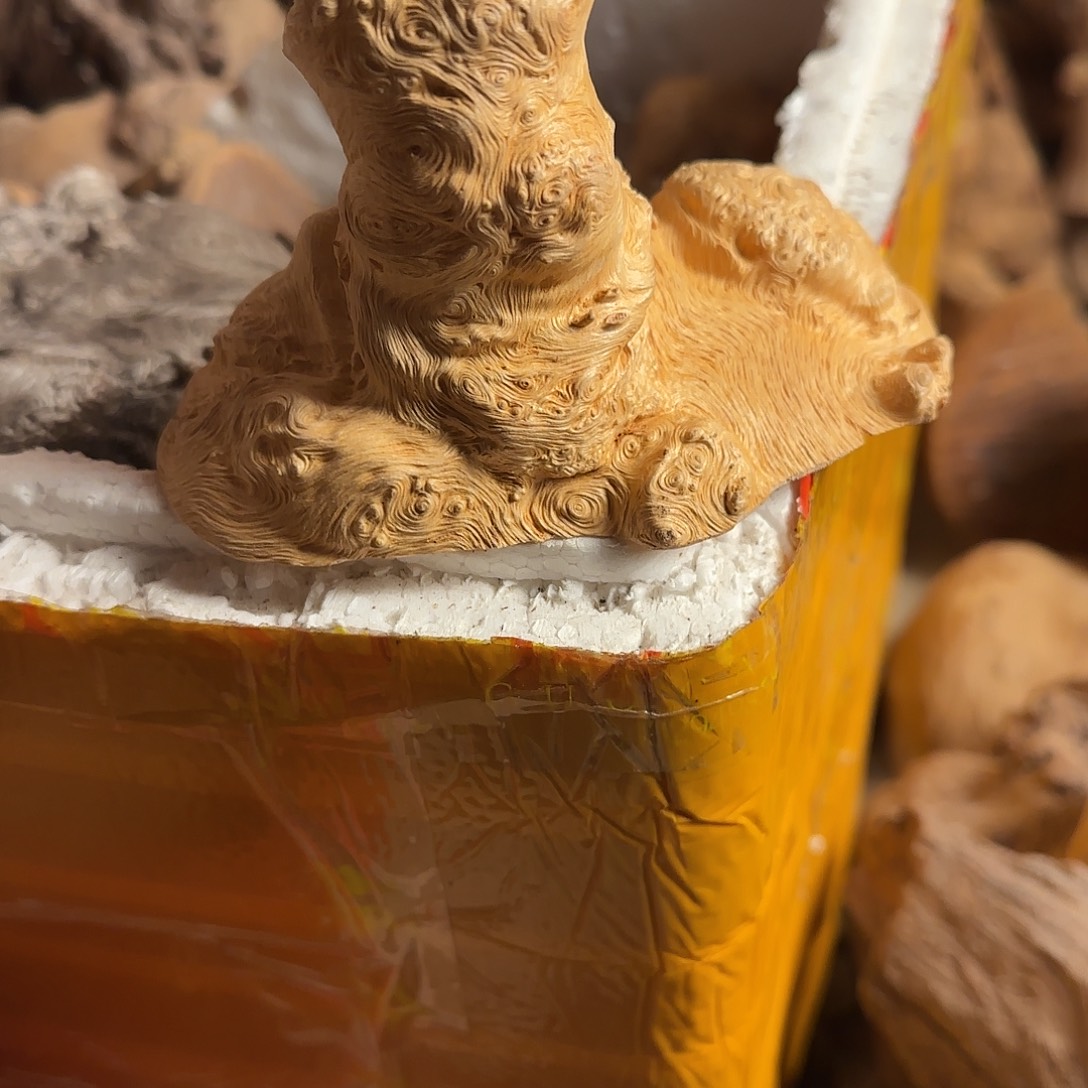 香榧木毛料毛料毛料