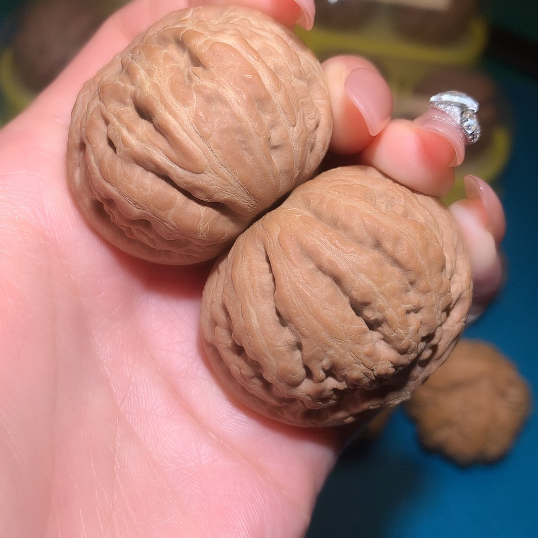 文玩核桃把件42全品闷尖霸王龙