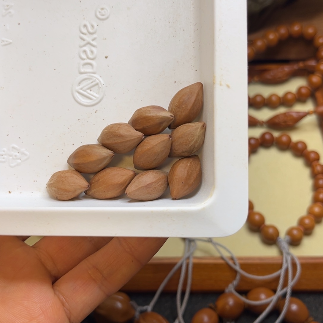 橄榄核手串/手链?****?小尺寸精品核橄榄核手串