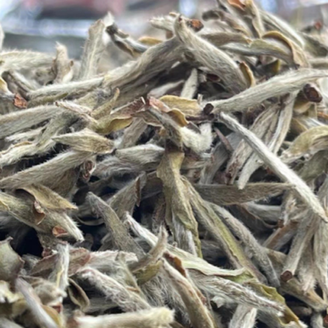 亳香蜜韵2018年首采野生银针