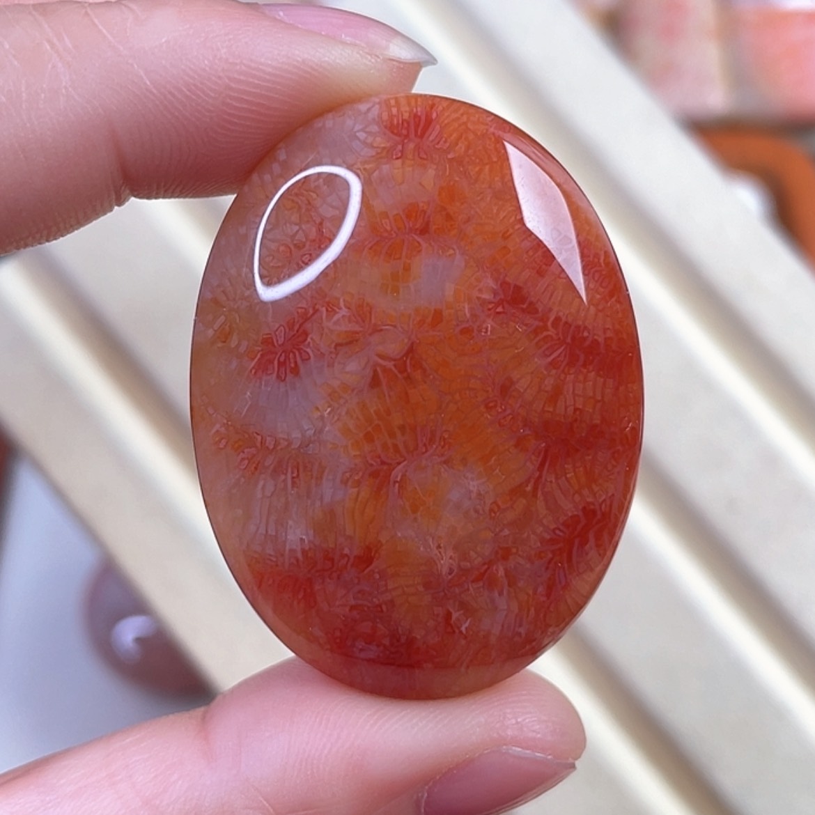 【闪购商品】硅化玉吊坠(赠链)未镶嵌