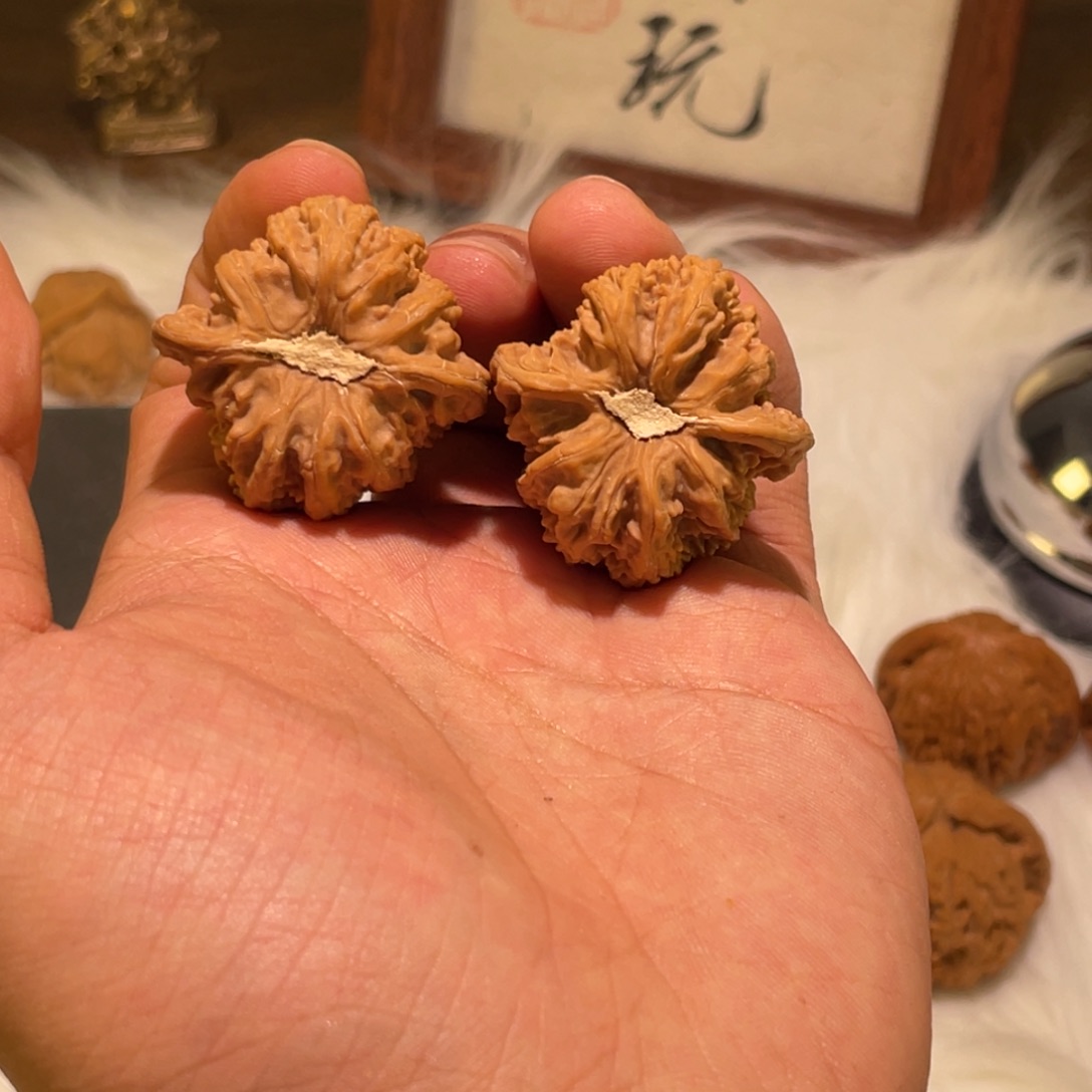35昌平密纹石膏底文玩核桃