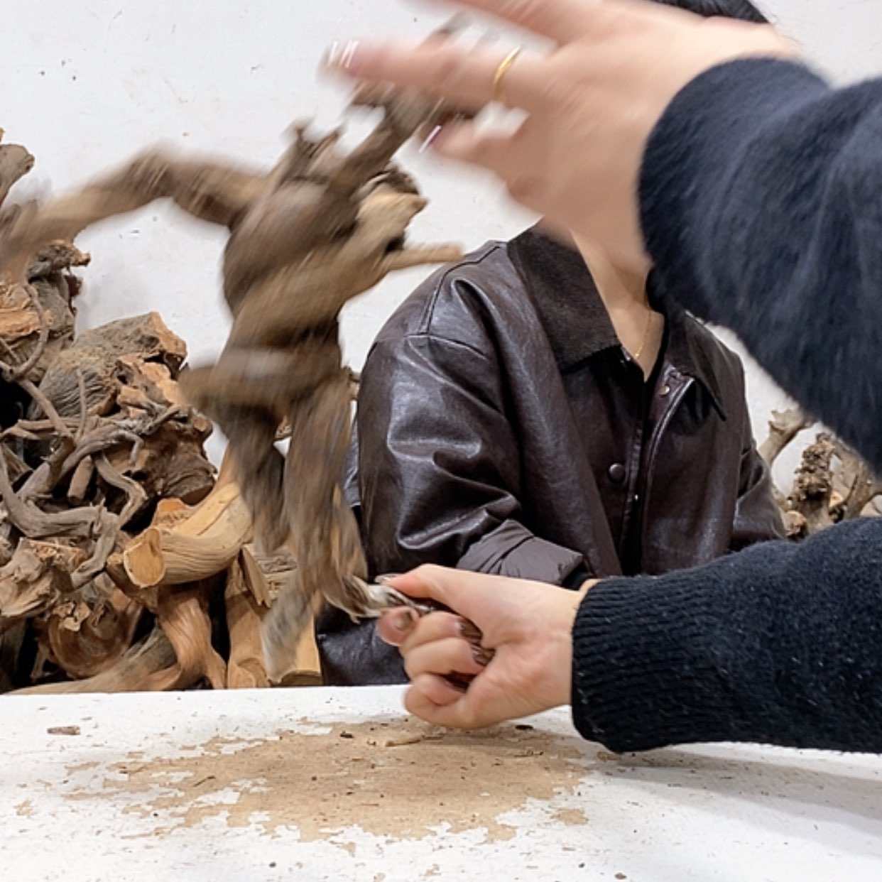 【闪购商品】柏木乔*我们都是好孩子