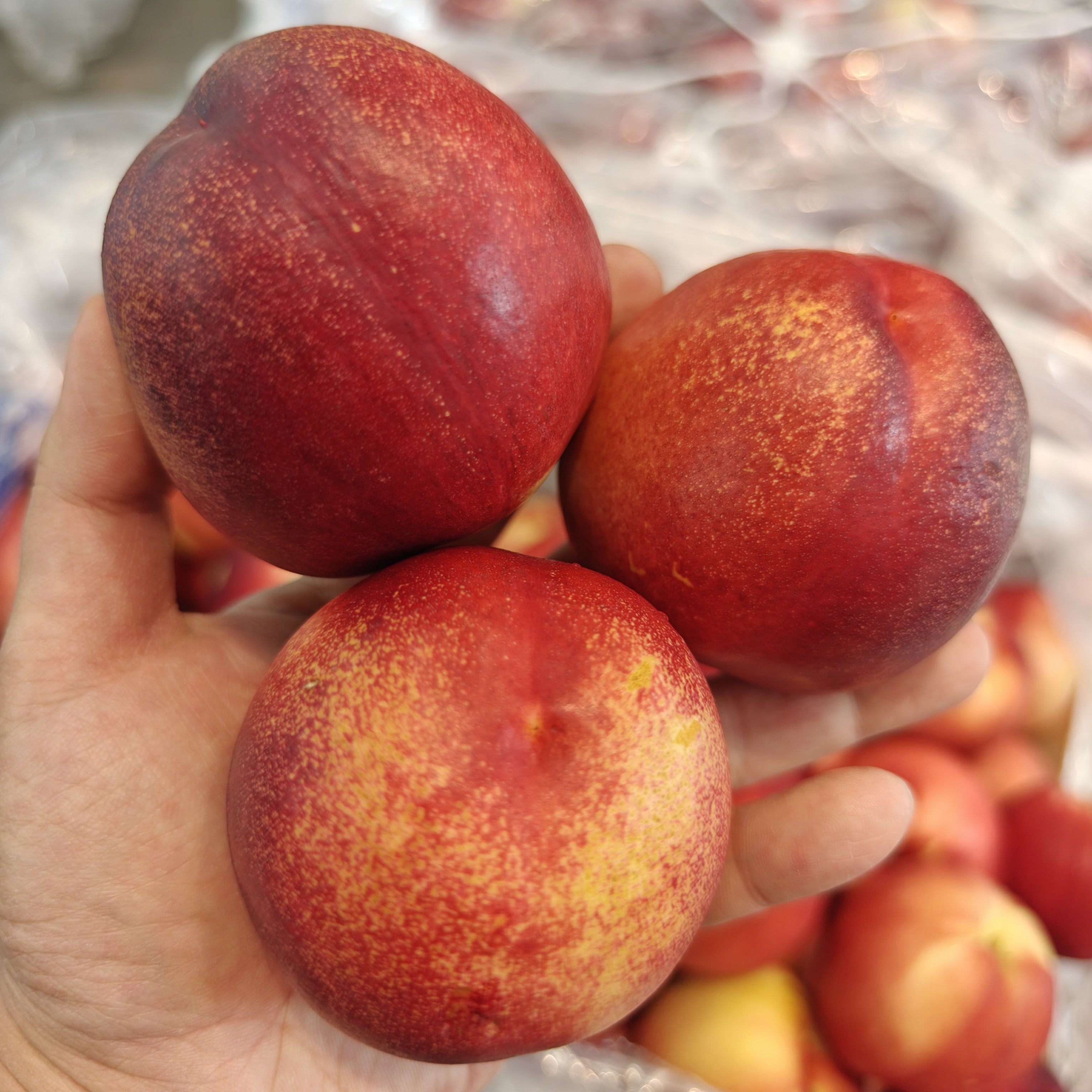 澳洲金腰带黄油桃 400g±20g 两个墨尔本