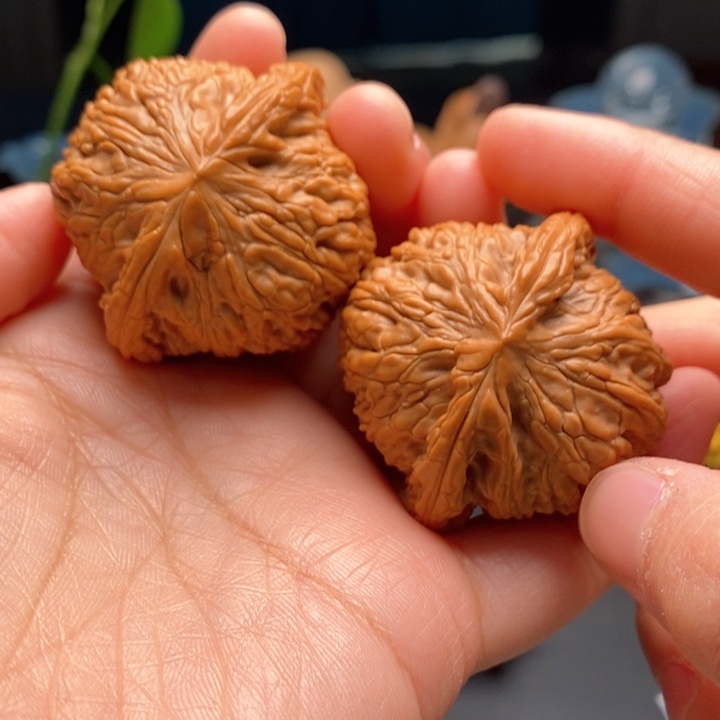 文玩核桃把件野生绣球43尺