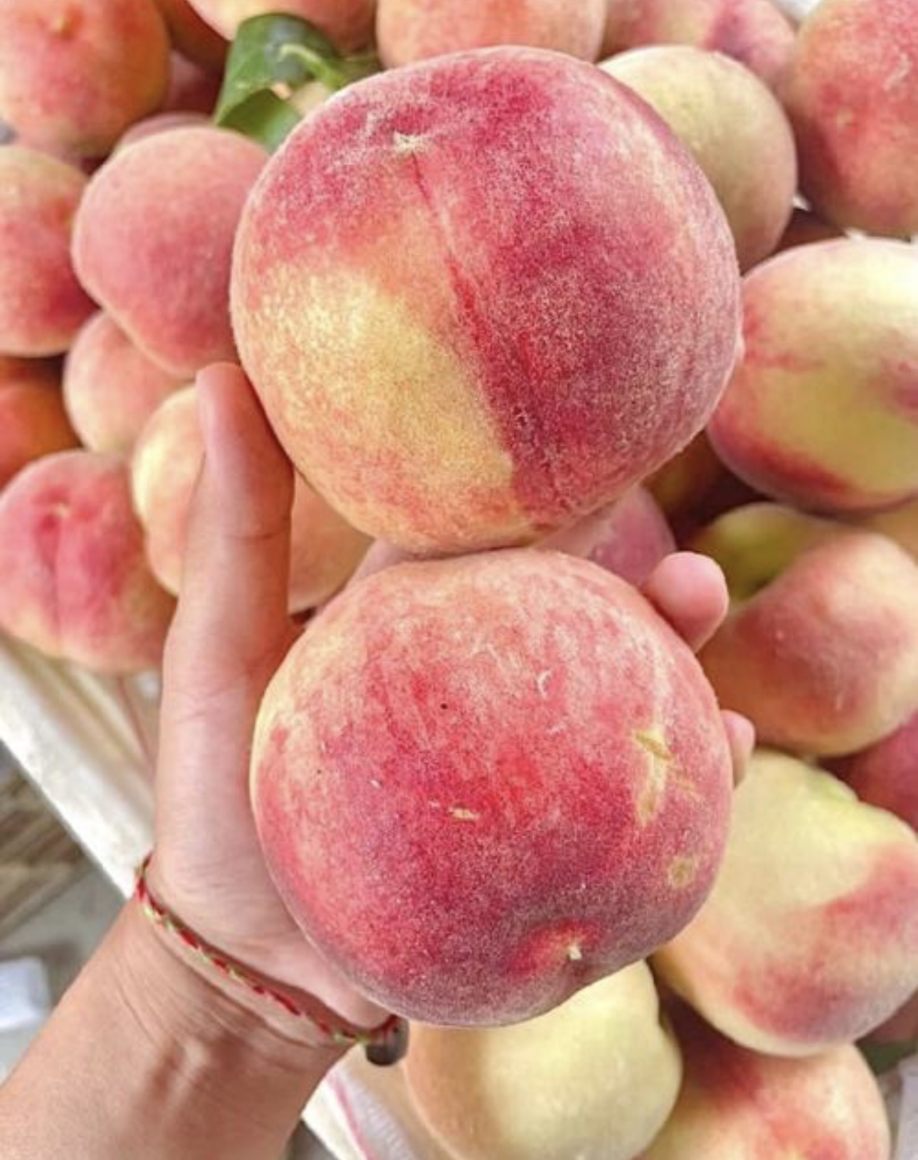 十九点九的陕西旱地老树毛桃不套袋  清脆爽口 软糯多汁 纯甜无酸