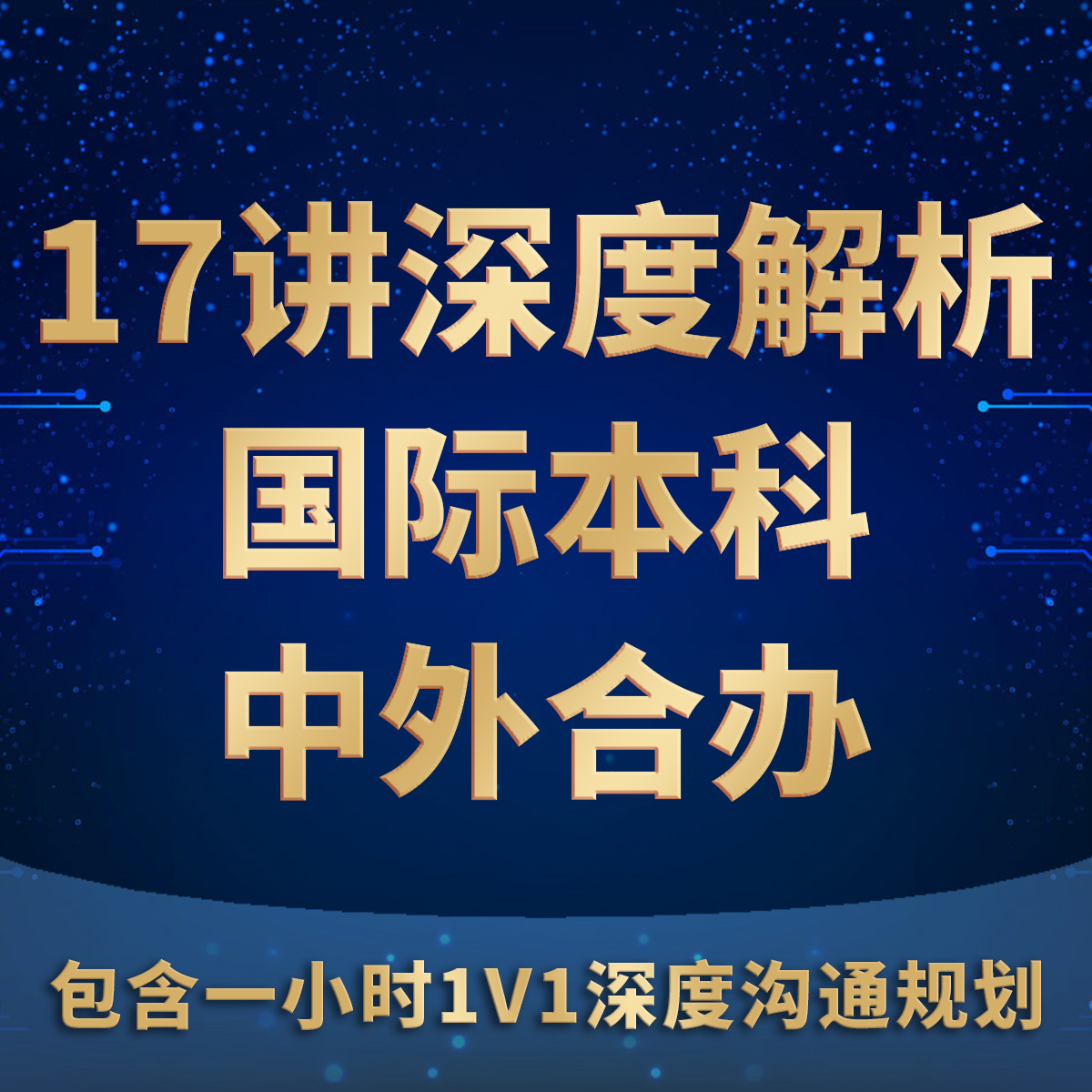17讲[深度解析]中外合作办学国际本科