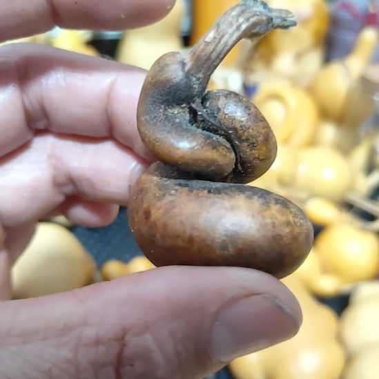 老***一葫芦哈哈哈哈哈哈哈哈