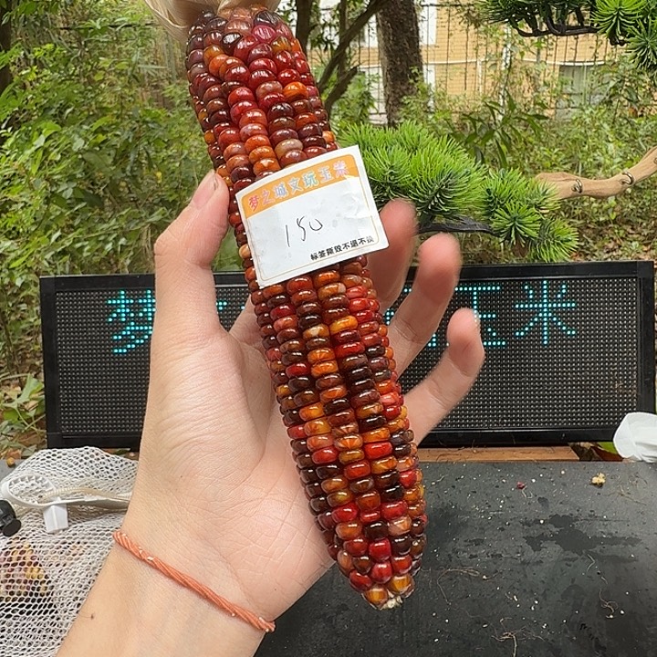 三***三大叶紫檀（黑酸枝木类）